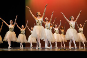 Academie de Ballet Recital 2015